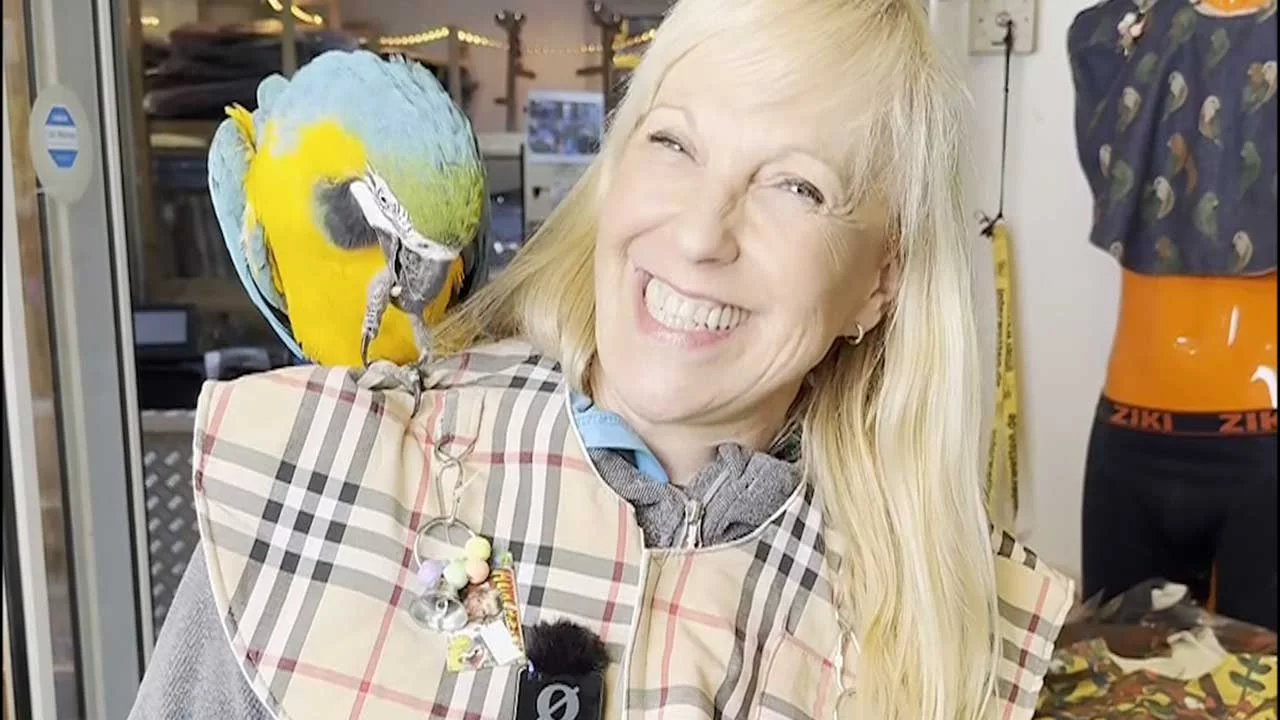 VIDEO: Kleidungsschutz-Schultercapes...