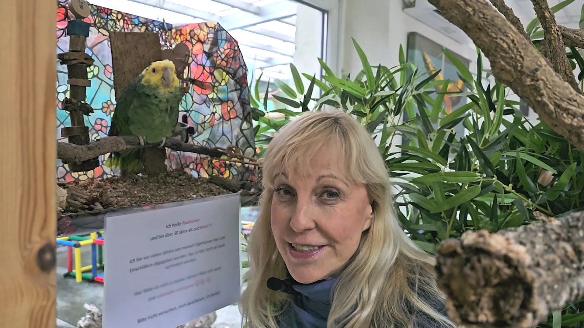 VIDEO: Blindheit bei Papageien 