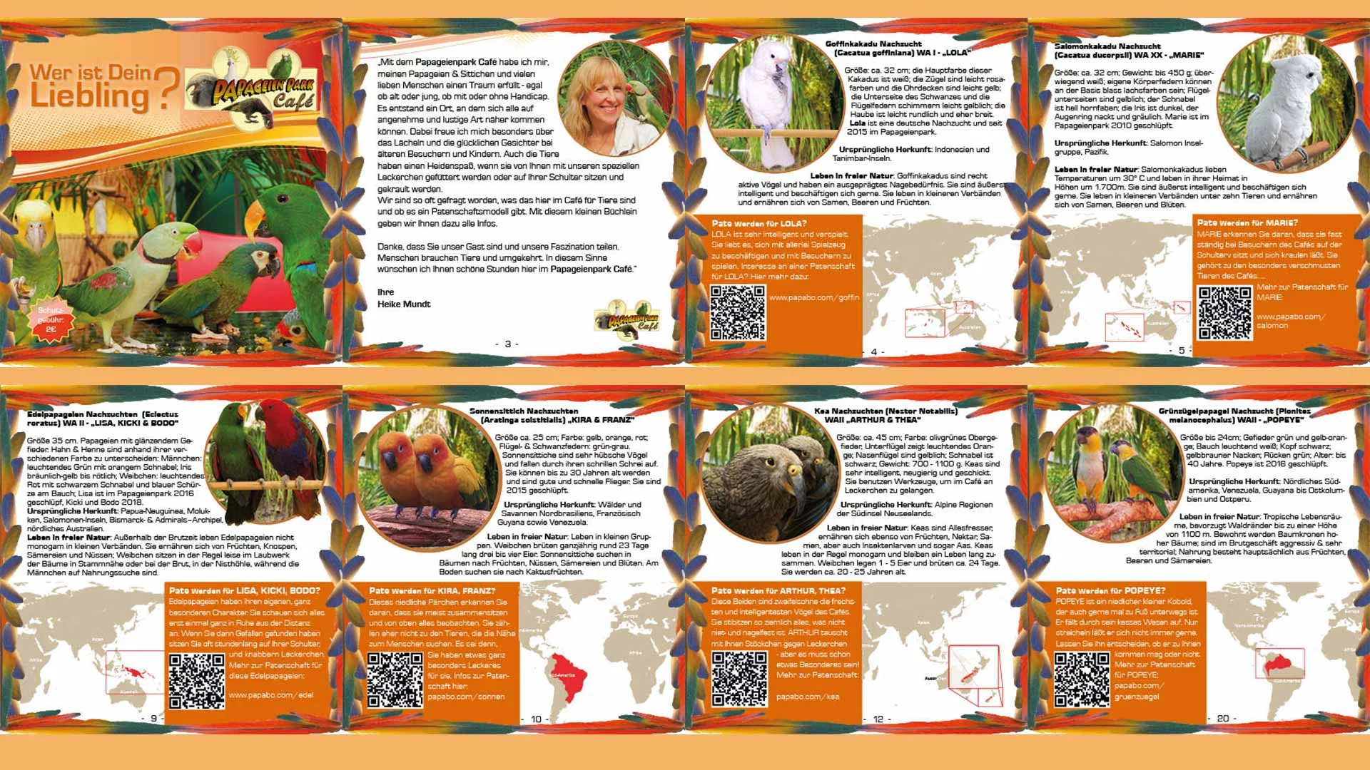 Info-Folder: Wer ist Dein Liebling?