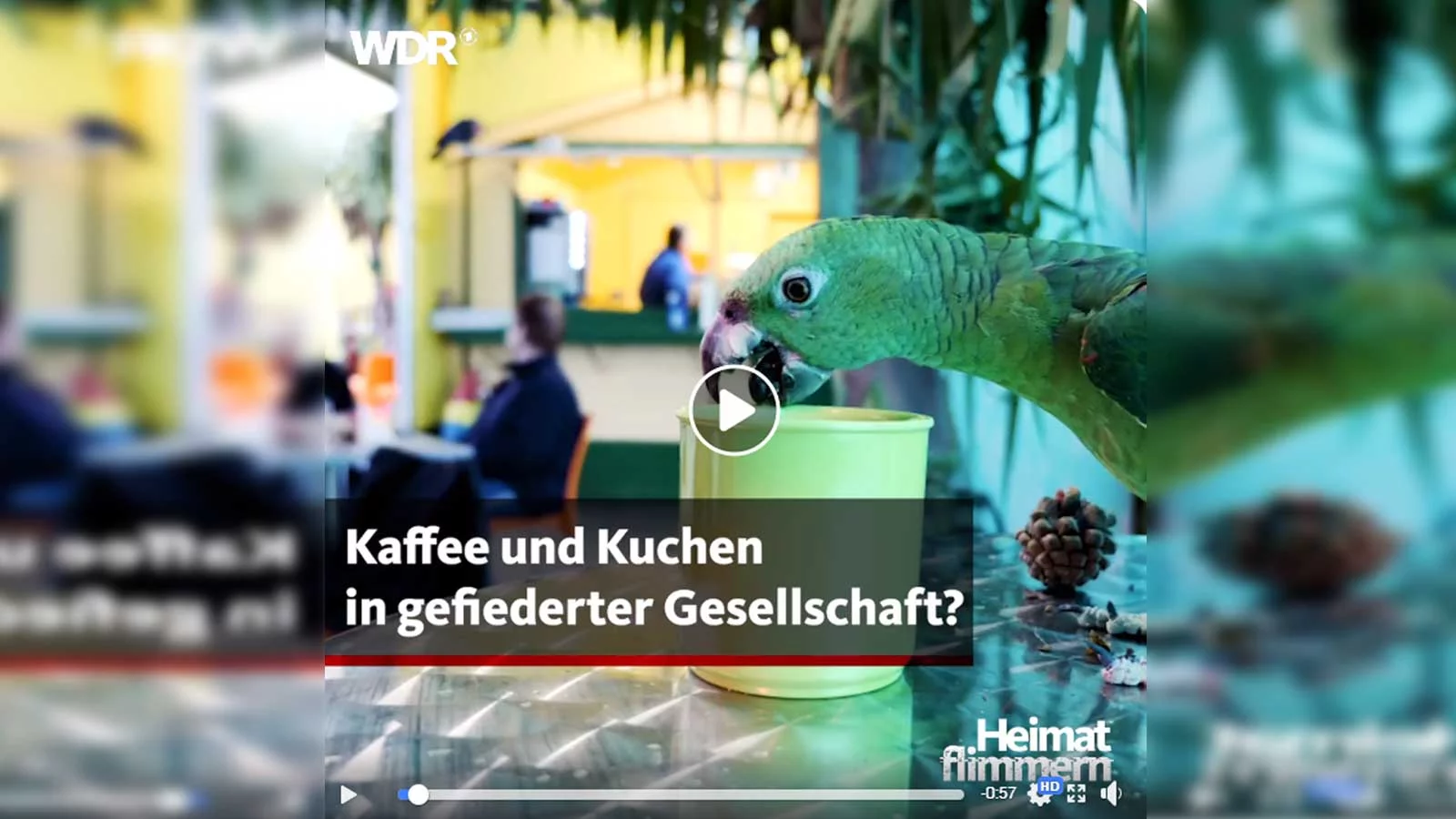 WDR Filmbeitrag über das Papageienpark Café