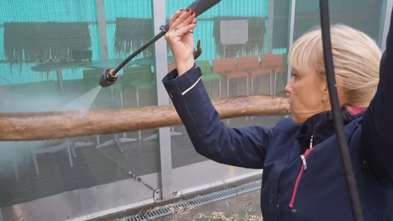 Morgens um 8 im Papageien Café