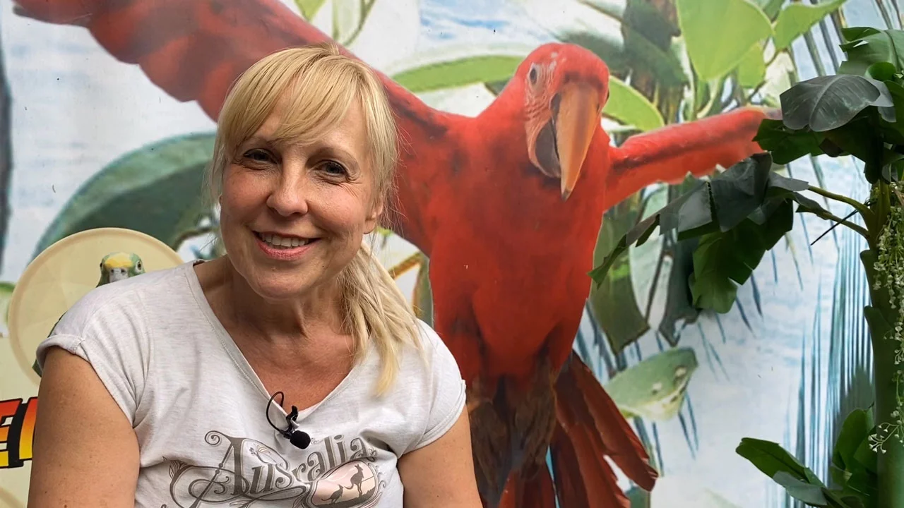 VIDEO - Heike Mundt klärt auf: Kauf von Papageienbabys