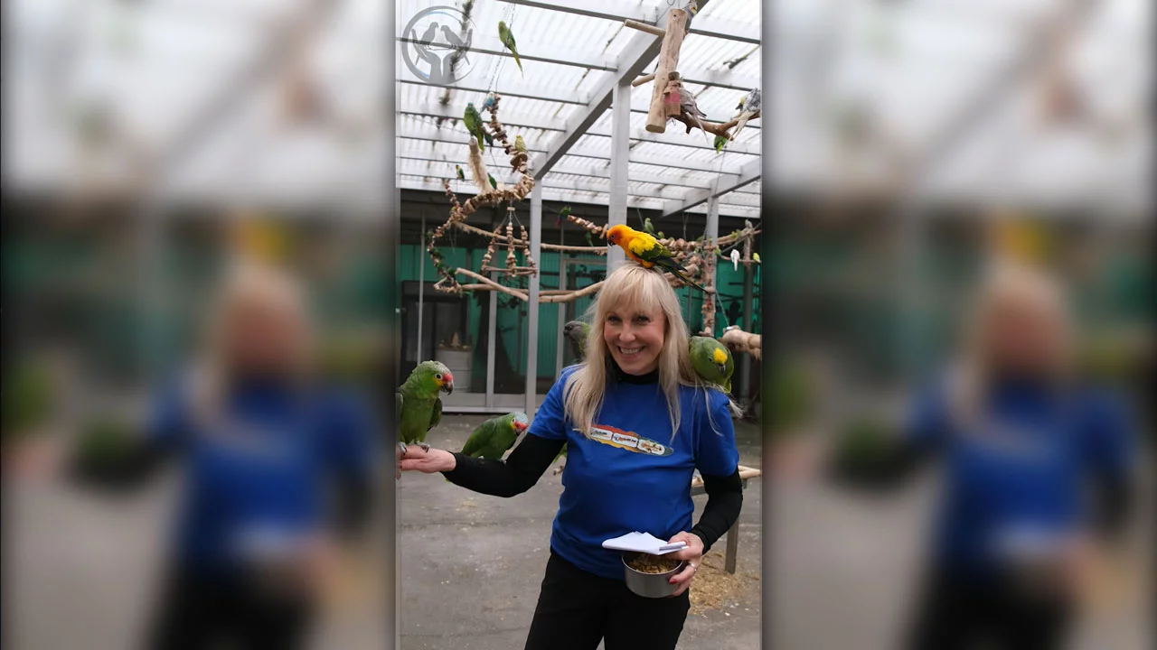 VIDEO: Papageien-Notresidenz e.V. braucht Deine Hilfe