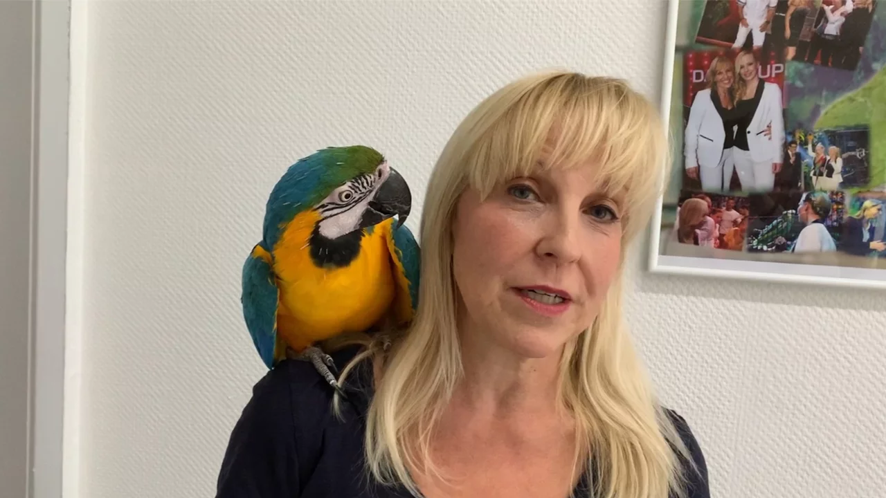 VIDEO: Können Papageien wirklich sprechen?