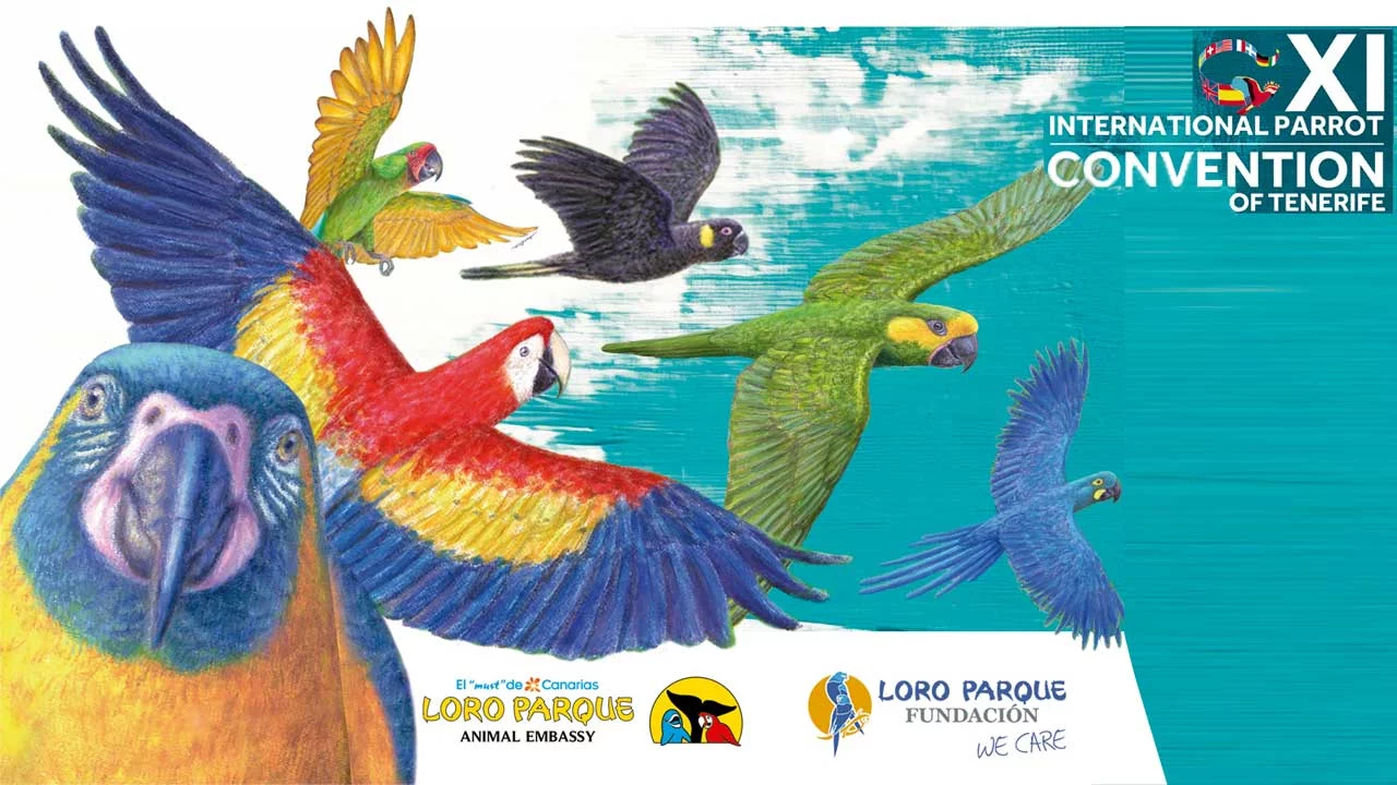 XI.INTERNATIONALER PAPAGEIEN-KONGRESS 14.-17.9.2026