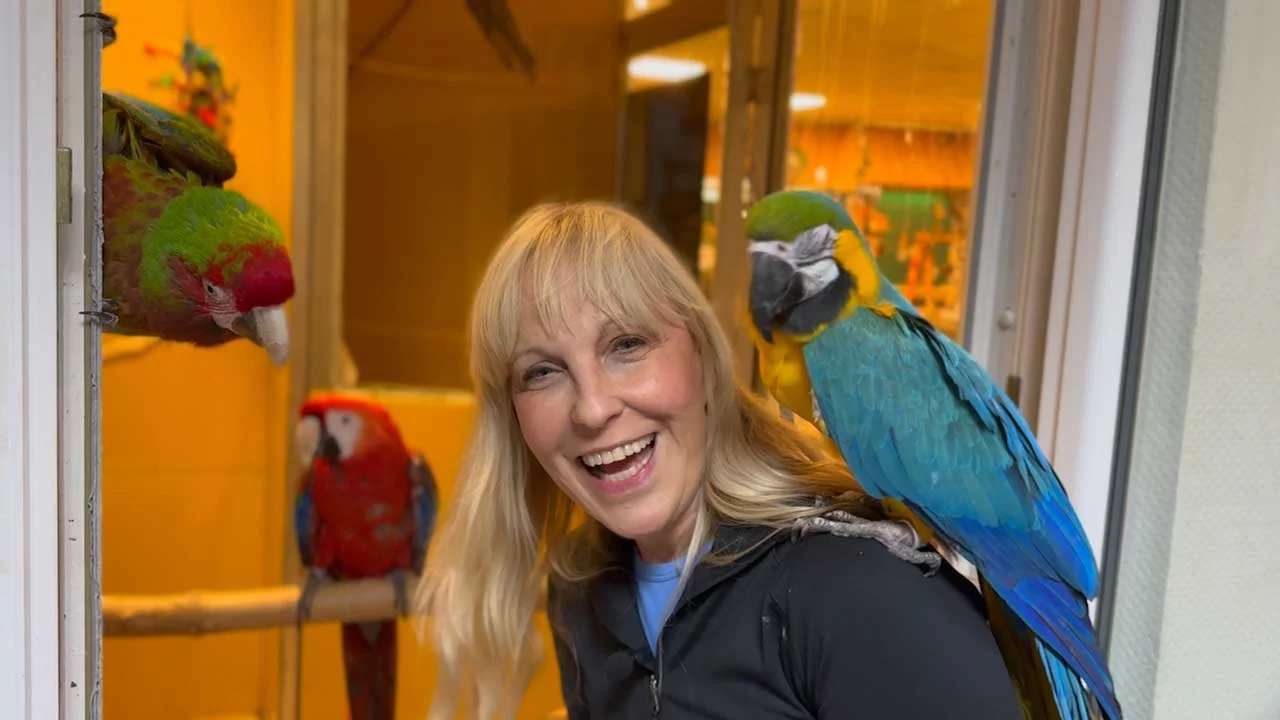 VIDEO: Heike gründet Tierheim Papageien-Notresidenz e.V.