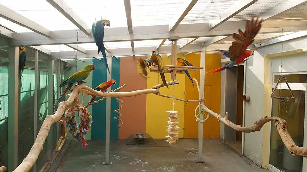 Papageienpark Bochum Videorundgang 14ß Sek.