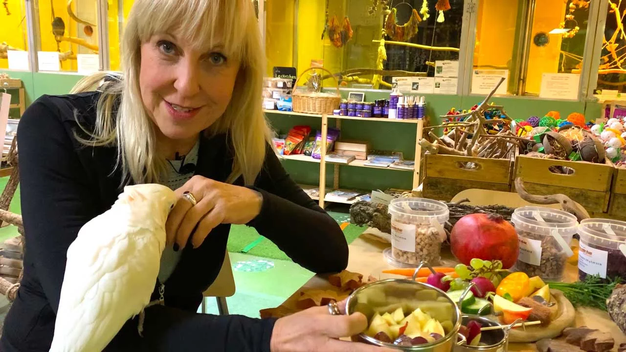 VIDEO: Heike über gesunde Futterportionen