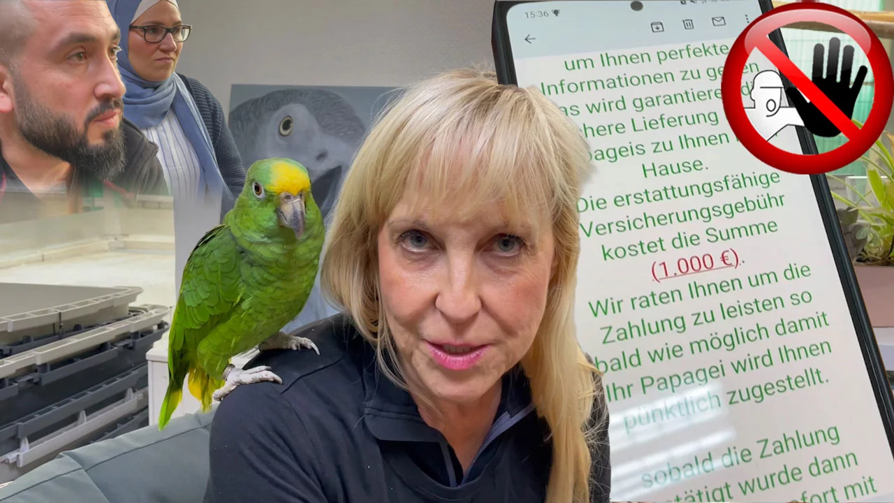 VIDEO: Kaufbetrug im Internet