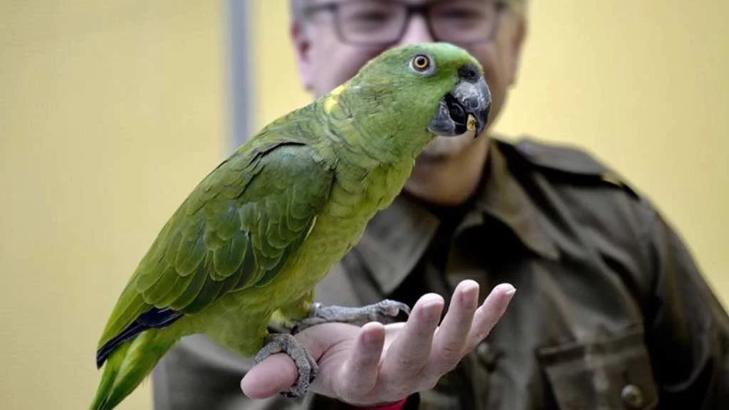 Fotostrecke CLUB Herbstgrillen 27.10.