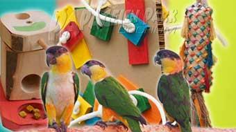 cgsi_302da5d16c919a37d2f2b818a578b1f9.img