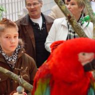 Impressionen Papageienpark Messestand Heimtiermesse Hannover 2008