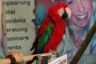 Impressionen Papageienpark Messestand auf MeinTier Oldenburg 11.2011