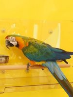 Freisitz 'Schöne Aussicht'